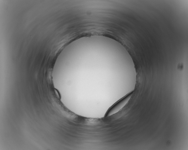 X0000113120141200908281051