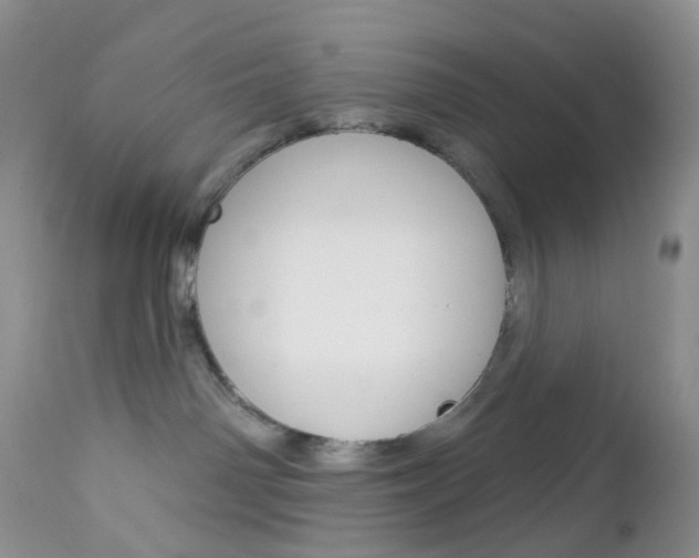 X0000113120142200908281051