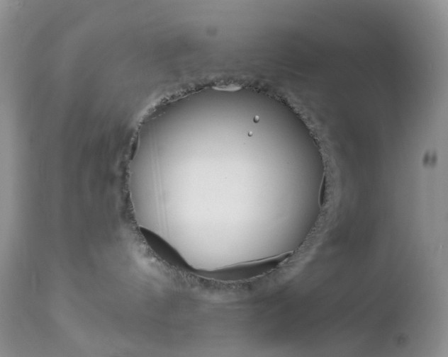 X0000113120144200908281051