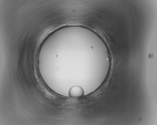 X0000113120145200908281050