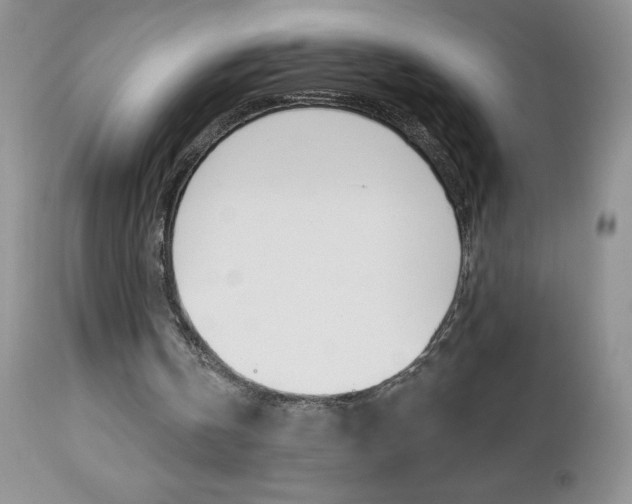 X0000113120146200908281050
