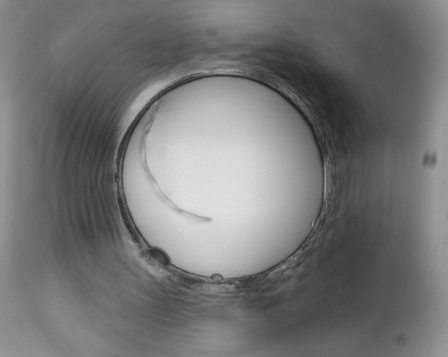 X0000113120147200908281050