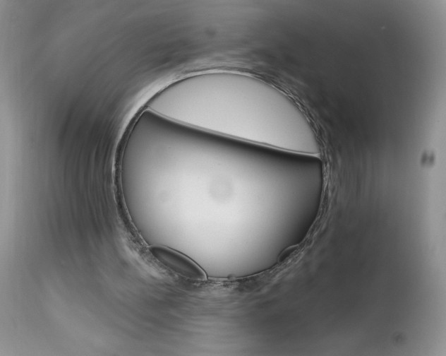 X0000113120148200908281050