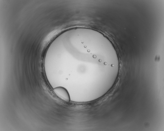 X0000113120149200908281050