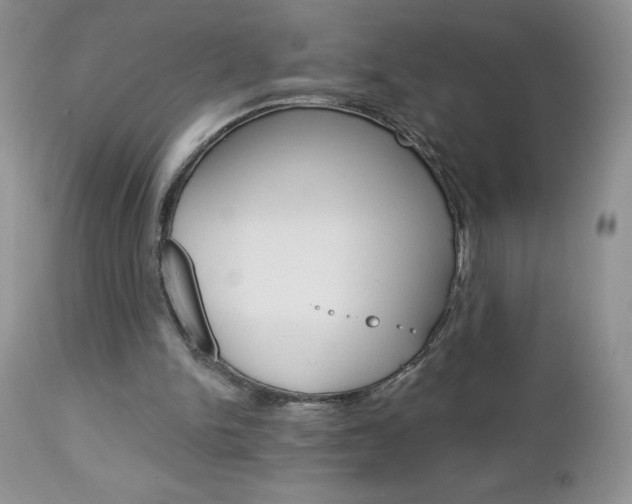 X0000113120150200908281050