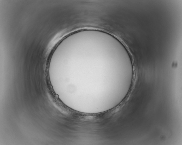 X0000113120151200908281050