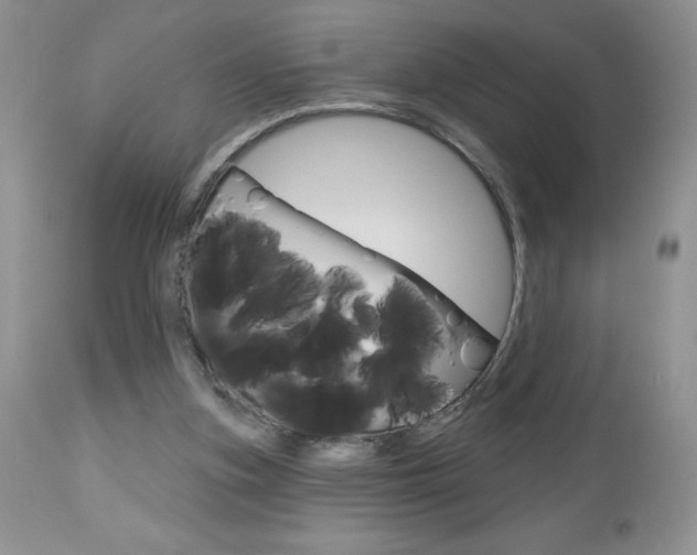X0000113120155200908281050