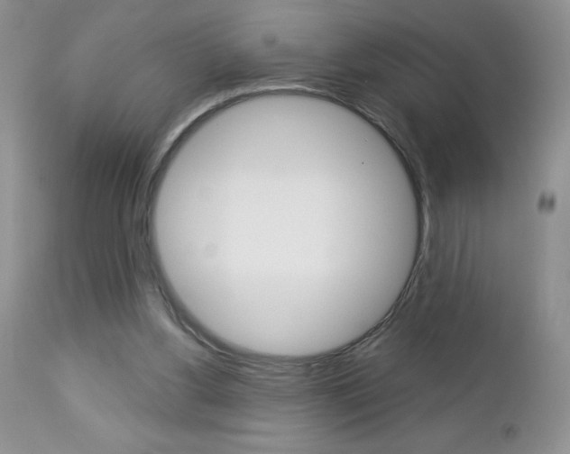 X0000113120156200908281050