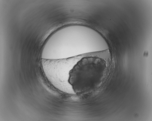 X0000113120159200908281050