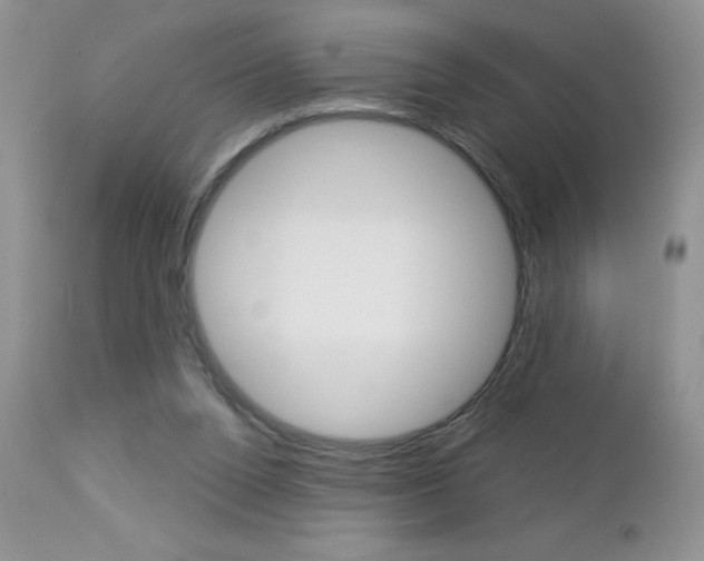 X0000113120160200908281050