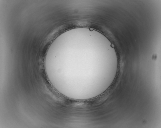 X0000113120161200908281050