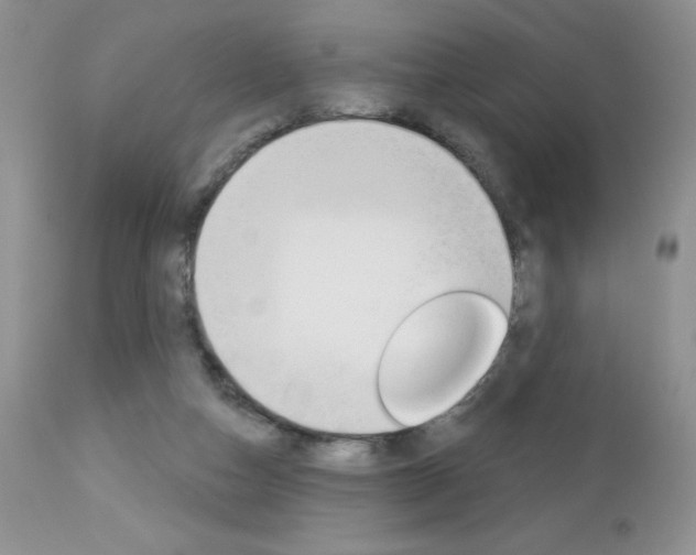 X0000113120162200908281050