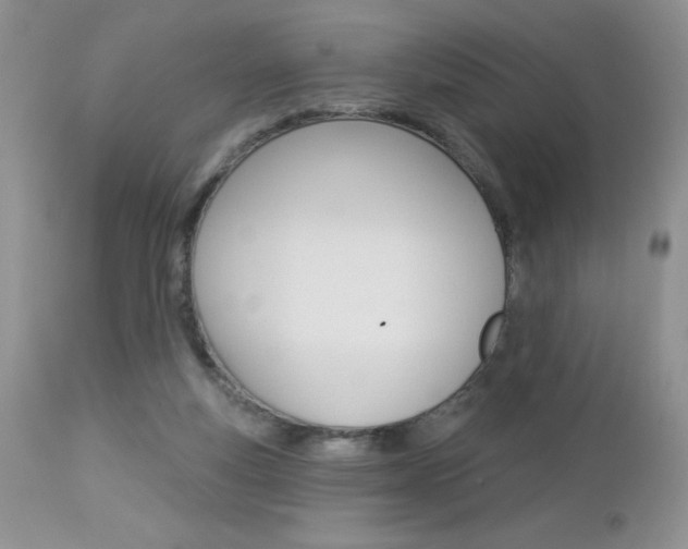 X0000113120163200908281050