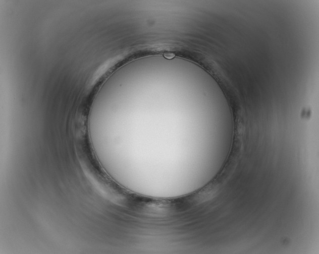 X0000113120164200908281050