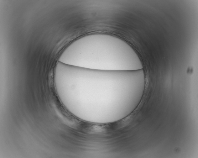 X0000113120166200908281050
