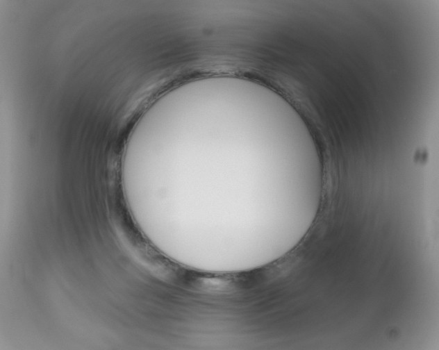 X0000113120167200908281050