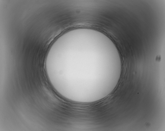 X0000113120168200908281051