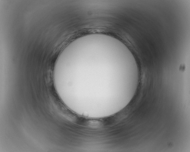 X0000113120169200908281051