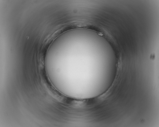 X0000113120170200908281051