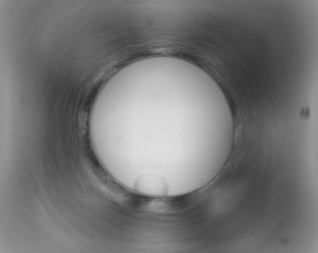 X0000113120171200908281051