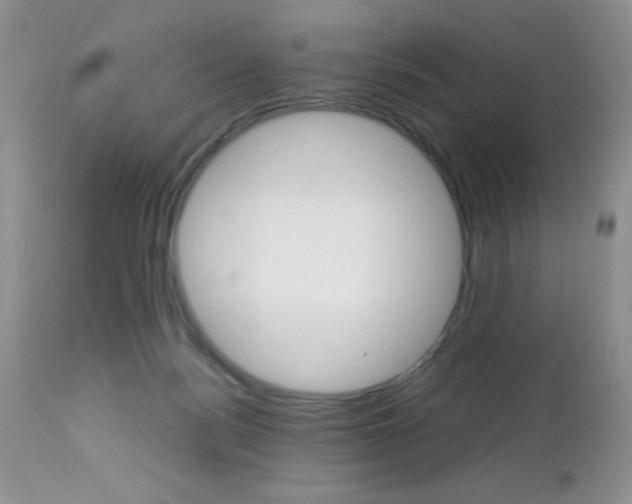 X0000113120172200908281051