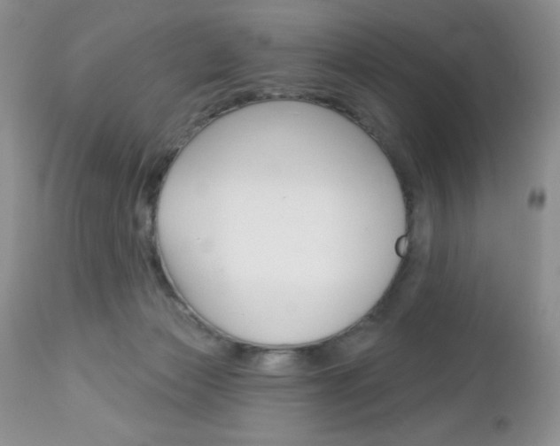 X0000113120173200908281051