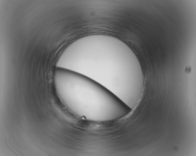 X0000113120174200908281051