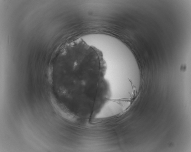 X0000113120175200908281051