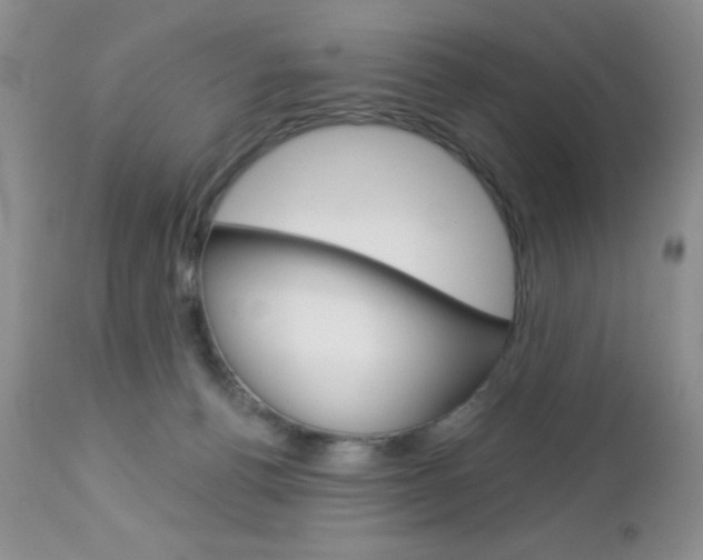 X0000113120176200908281051