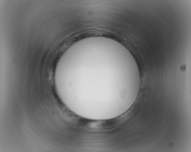 X0000113120178200908281051