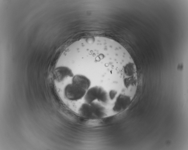 X0000113120179200908281051