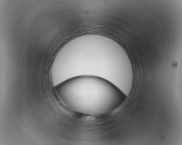 X0000113120180200908281051