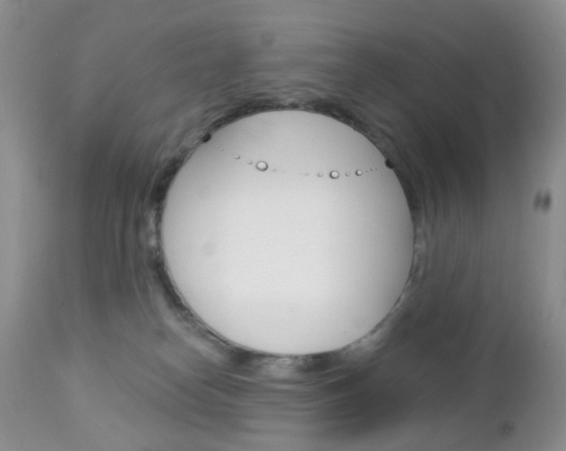 X0000113120182200908281051