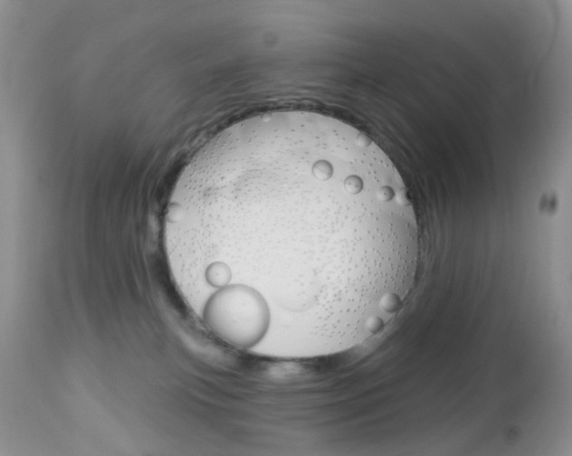 X0000113120183200908281051