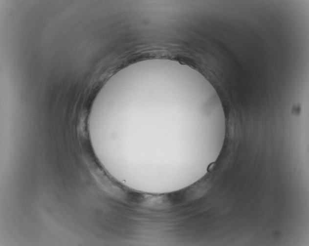 X0000113120185200908281051
