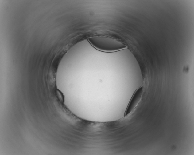 X0000113120186200908281051