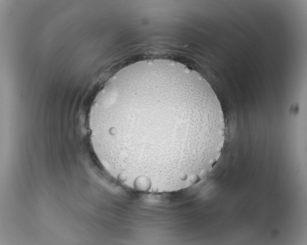 X0000113120187200908281051