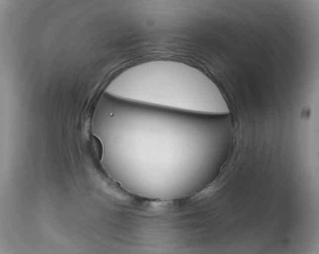 X0000113120188200908281051