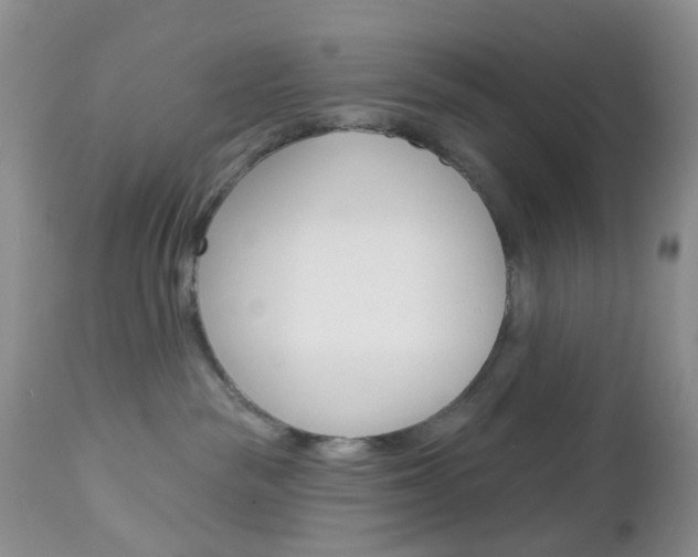 X0000113120189200908281051