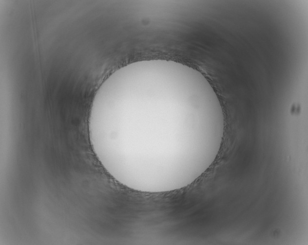 X0000113120192200908281051