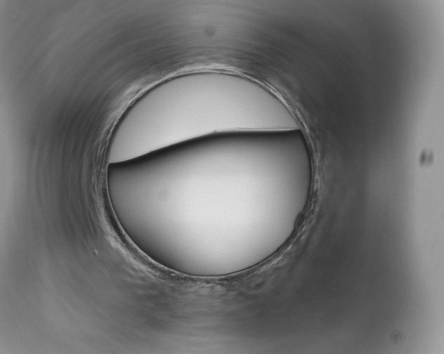 X0000113120193200908281050