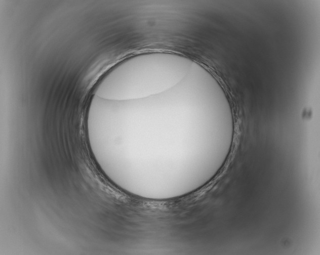 X0000113120194200908281050
