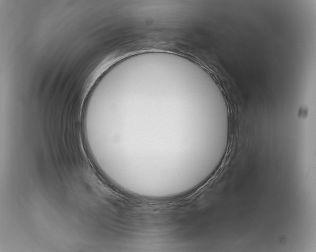 X0000113120195200908281050