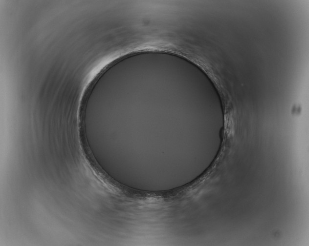 X0000113120196200908281050