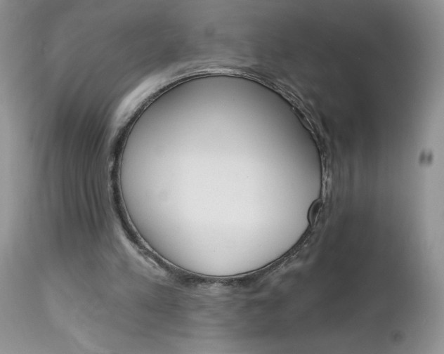 X0000113120197200908281050