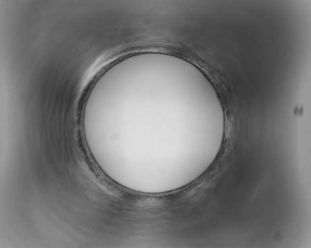 X0000113120198200908281050