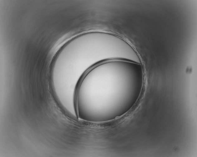 X0000113120199200908281050