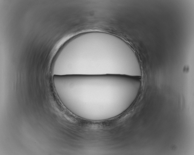 X0000113120200200908281050