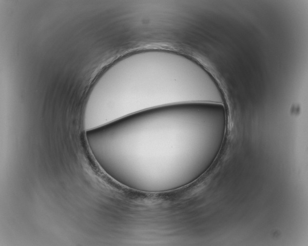 X0000113120201200908281050