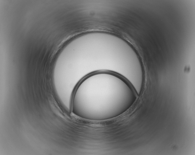 X0000113120203200908281050